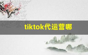 tiktok代运营哪家好_tiktok 林